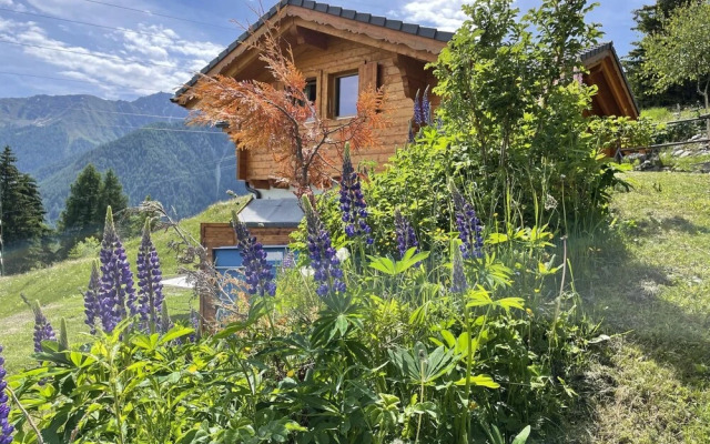Chalet Belle Roche Recently Renovated Jacuzzi