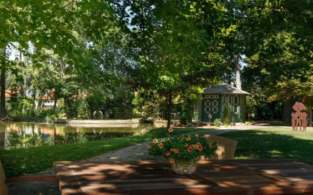 Villa _peacock Suite