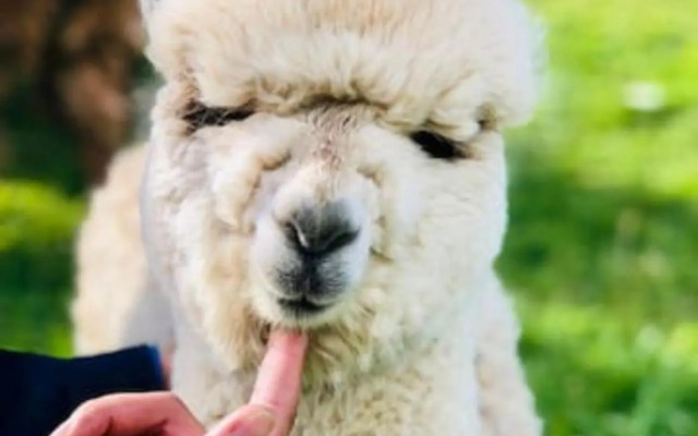 Westminster Mountain View Manor Main House