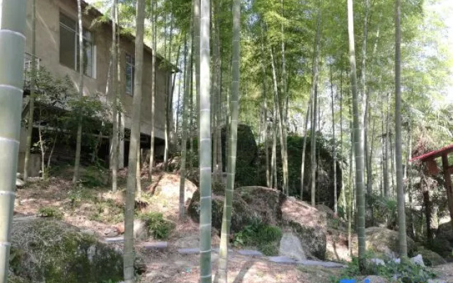 Xing'an Mao'er Mountain Bamboo Xiyuan