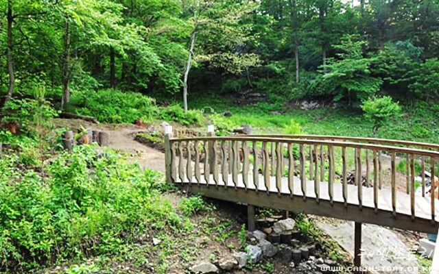 Yangpyeong lime orange