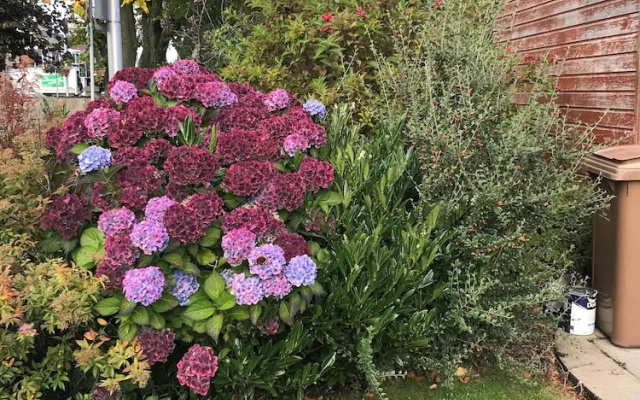 Beeches Guest House
