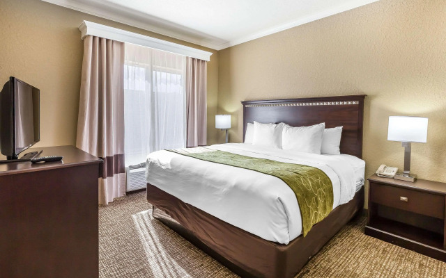 Comfort Suites Houston IAH Airport - Beltway 8