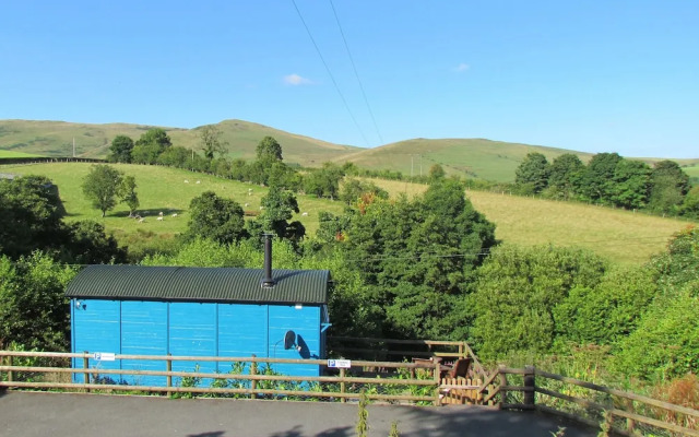 Cuckoo at Wild Valley Huts