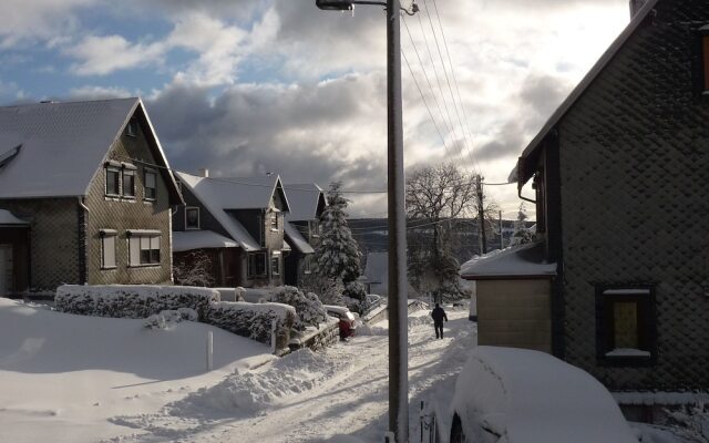 Quaint Holiday Home In Thuringia With Terrace.