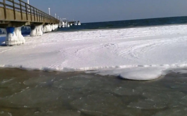 Chrissi's Baltic Sea Nest