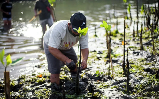 Blossom Eco Luxe Villas by Ekosistem