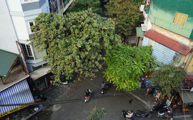 AZ Hanoi Hostel