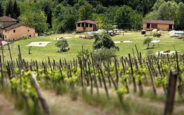 Fattoria Dell'orto Degli Ulivi