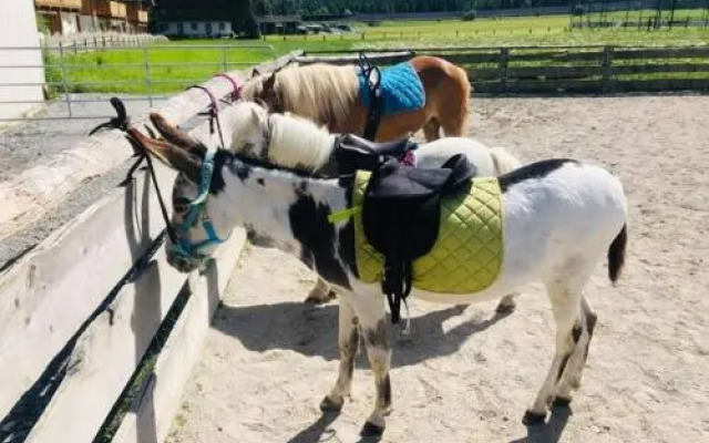 Sieglhub Hotel Apartments Chalet