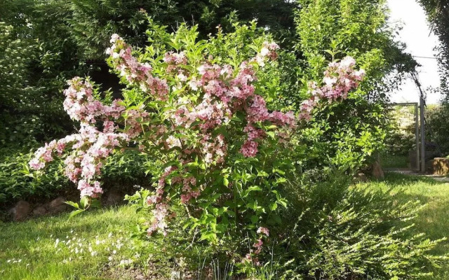 I Pioppi Cipressini