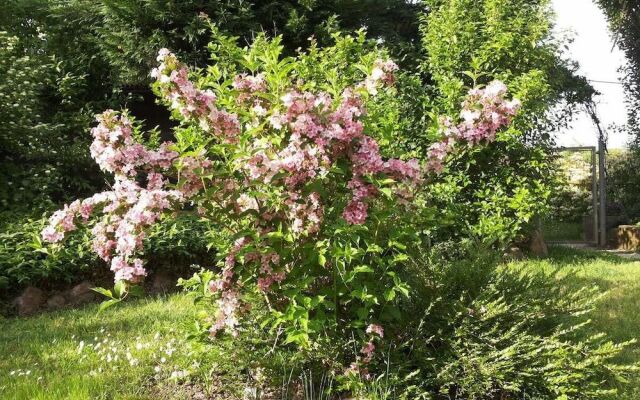 I Pioppi Cipressini