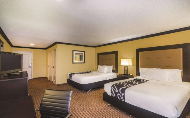 Spark by Hilton Brandon