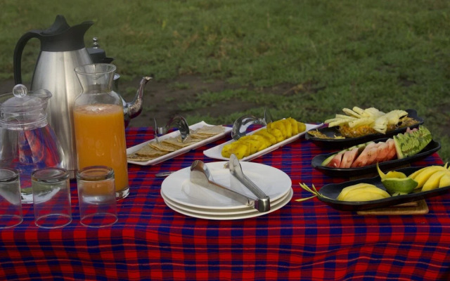 The Royal Migration Camp - All Inclusive