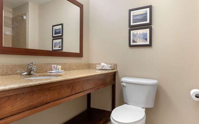 Comfort Inn & Suites Port Arthur-Port Neches