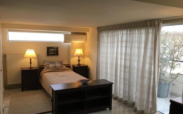 Lycabettus Hill Penthouse, Private Roof Garden & Pool