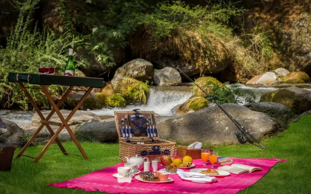 Tree of Life Eila Art Hotel