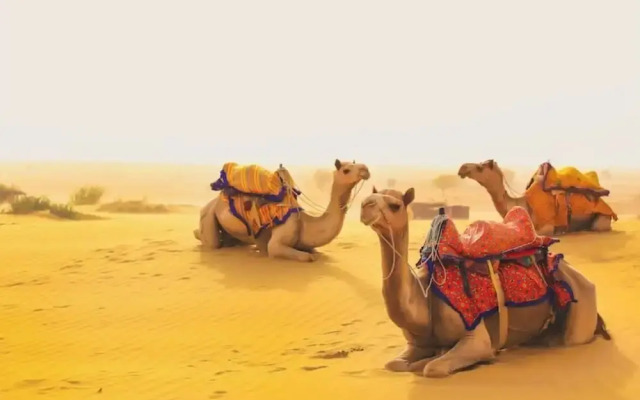Happy Adventure Camp & Resort Jaisalmer