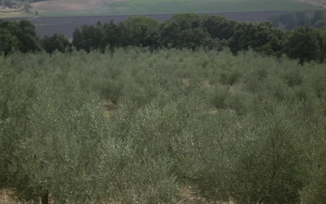 Agriturismo Le Serre