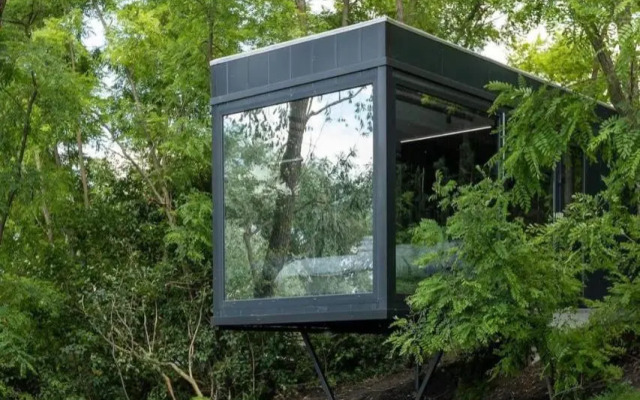 Tree House