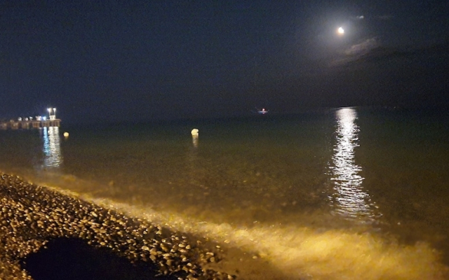 Arancetodamare Artemide