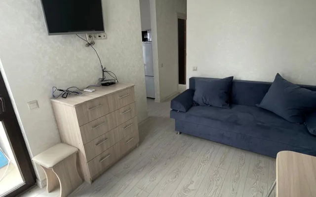 Апартаменты Pluton Aparts в СНТ Агро