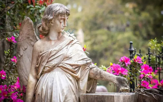 Thunderbolt Treasure