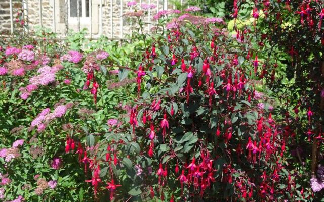 Hôtel Restaurant Ambroise