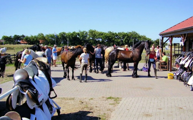 Holiday Home With Private Garden by the sea
