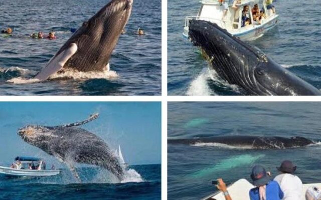 Adults Only Hacienda Terra Taina