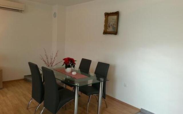 Apartment Branko