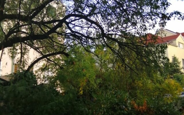 Charming Apartment Center Split Terrace & Parking