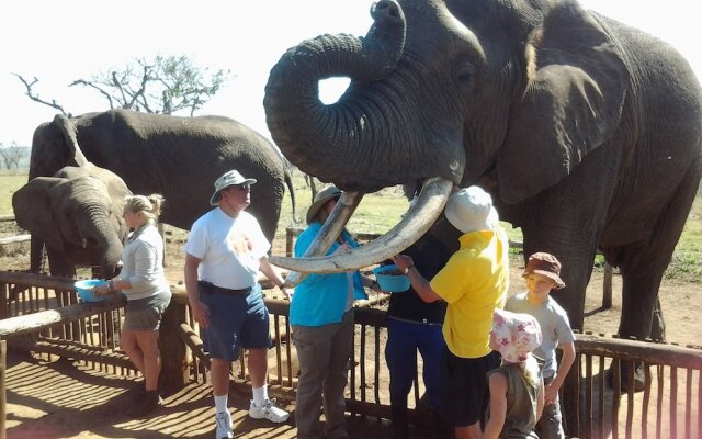 Hluhluwe Backpackers