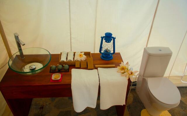 Yala National Park Camping
