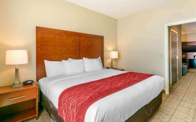 Comfort Inn & Suites Nashville Franklin Cool Springs