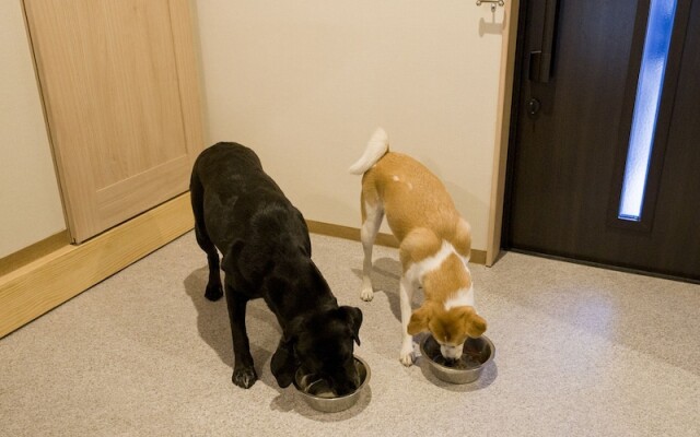 Rakuten STAY Nikko Hoden