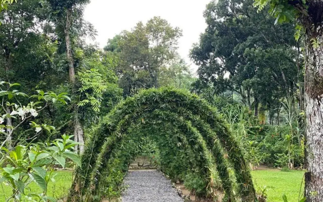 Wisma Batu Mandi and Jungle trekking