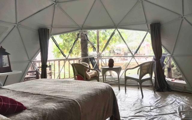 Eco-Treehouse Glamping Services