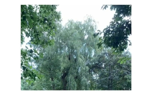 Amazing Holiday Home Near the Lake