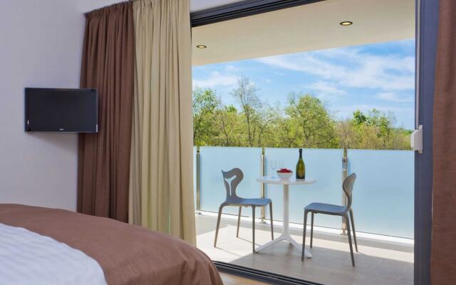 Luxurious Villa Novigrad With Swimming Pool