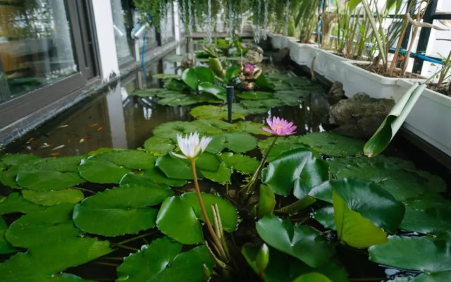 Homestay CHẤT - Pagoda View 2