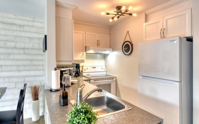 Elegant Apartment - View on Lake Tremblant & Mountain