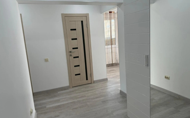 Апартаменты на улице Полковника Фесюна 17