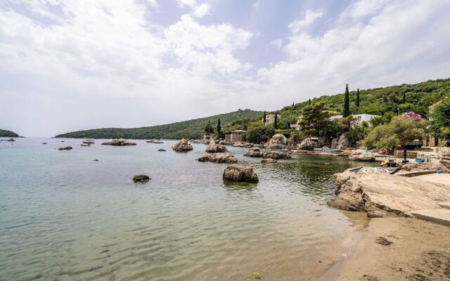 Hidden Gem Apartment