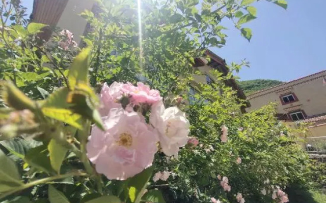 Huajianji Courtyard Home stay