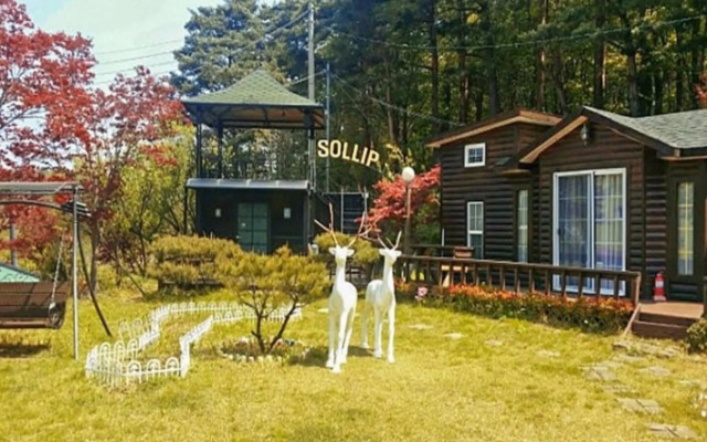 Yangyang Pinot Tree Pension