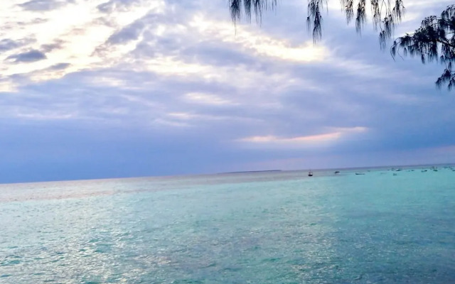 Miska Zanzibar