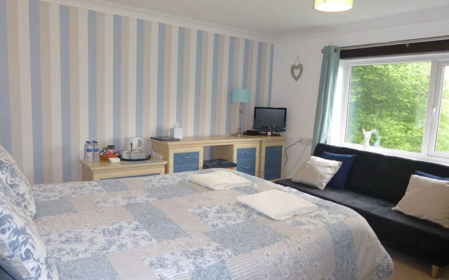 Neuadd Wen Country Guest House