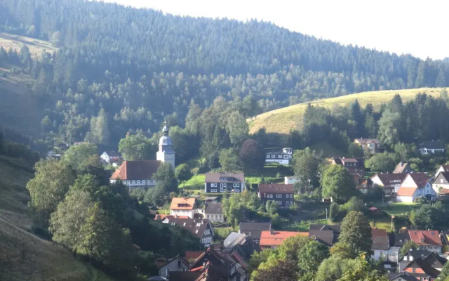 Holiday Apartment Romantic in the Heart of Harz