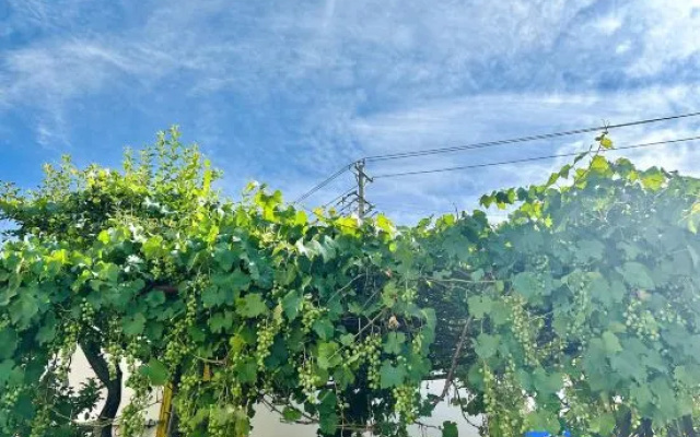 Bokang — 2-star hotel in Daofu